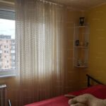 35081912_241424692_hd