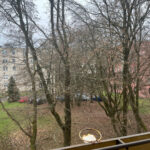 35123813_241892907_hd